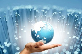 中天科技 供需穩(wěn)定，業(yè)績向好