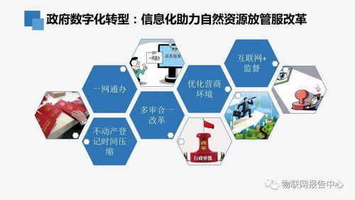 自然資源信息化頂層設(shè)計(jì)下的生物質(zhì)能資源數(shù)據(jù)庫(kù)信息系統(tǒng)構(gòu)建